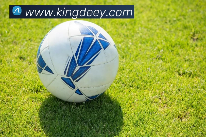 App Interface Preview